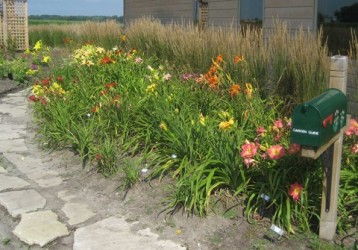 Demo Gardens at Lowe