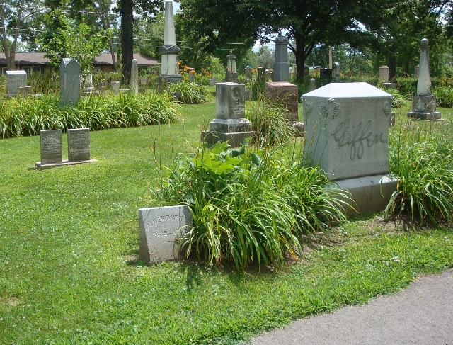 cemetery vegetation before