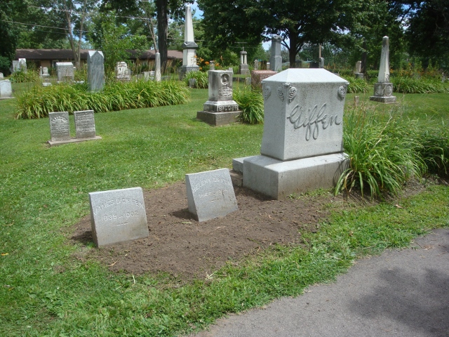 cemetery vegetation after trimming