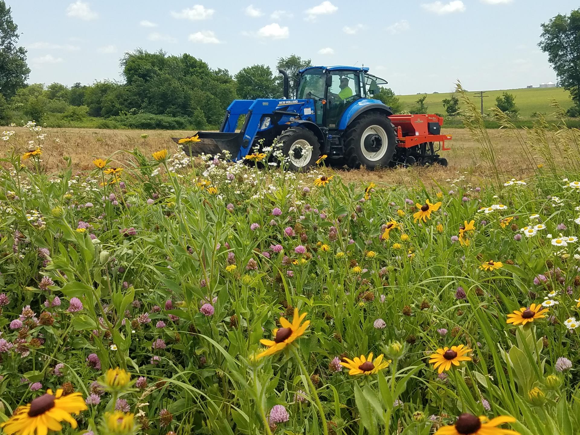 Tractor planting pollinator habitat