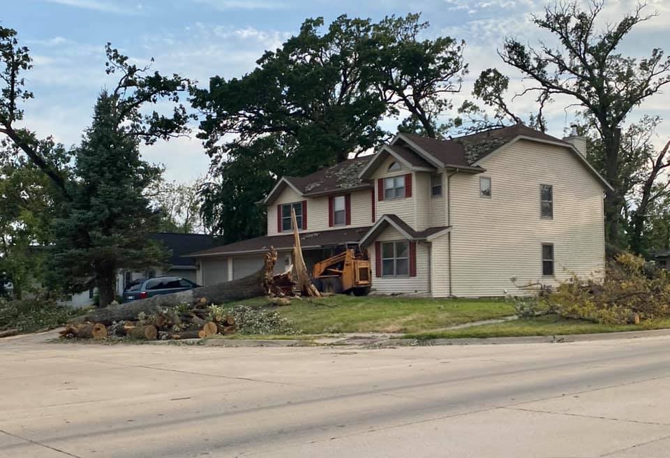 house surrounded by tree debris