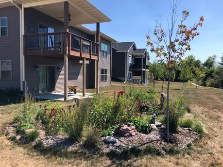 rain garden in yard