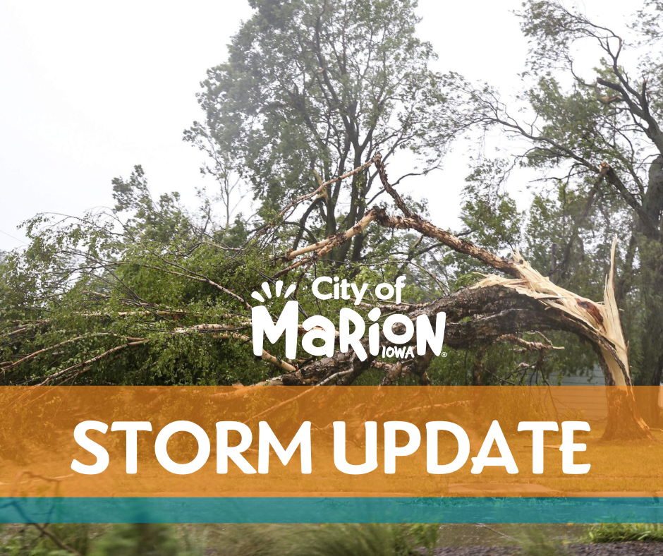 tree debris storm update